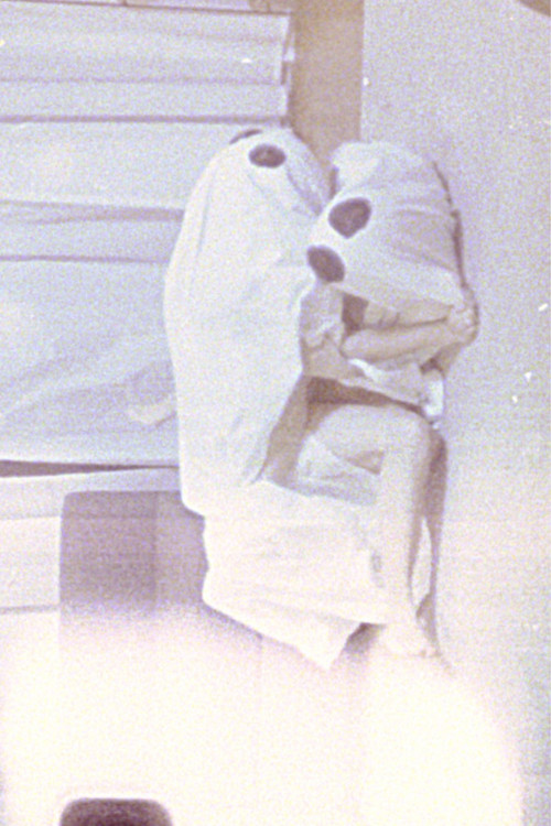 Luna e Santur poster