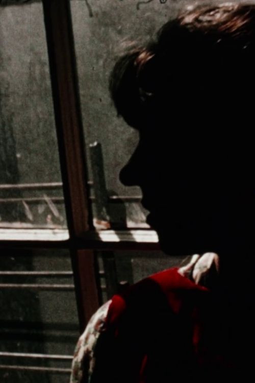 Nightspring Daystar poster