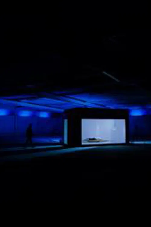 Cell 5 - A Reconstruction poster