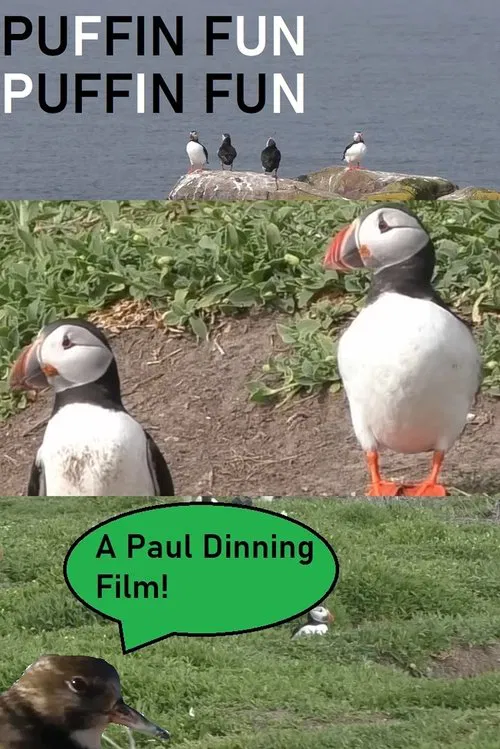 Puffin Fun poster