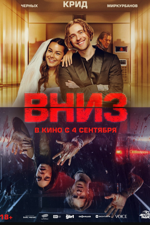 Вниз poster