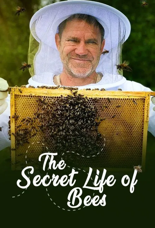 The Secret Life of Bees poster