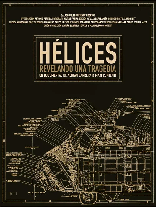 Helices: Revelando una tragedia poster