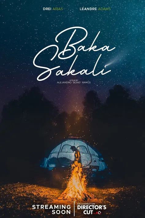 Baka Sakali poster