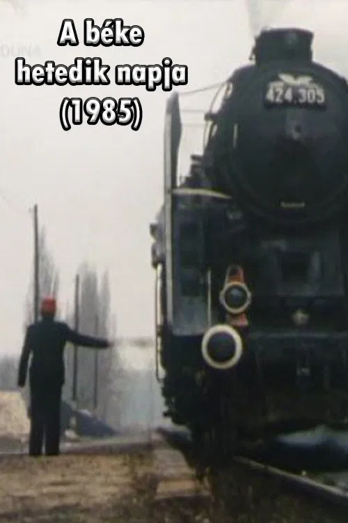 A béke 7. napja poster