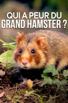 Qui a peur du grand hamster ? poster