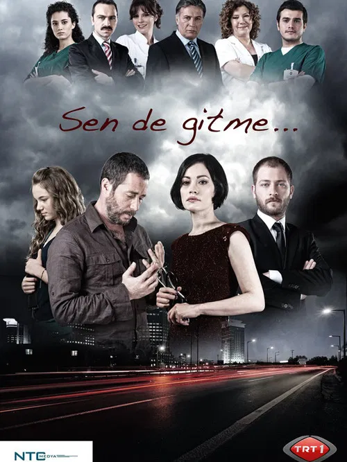 Sen de Gitme poster