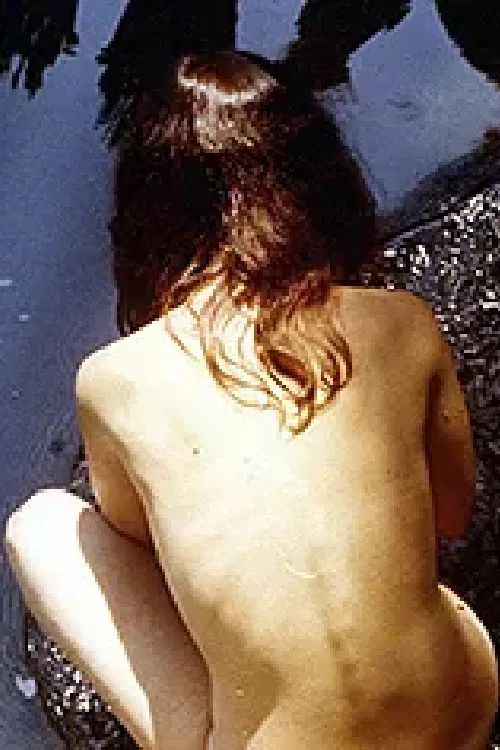 False Pretenses poster