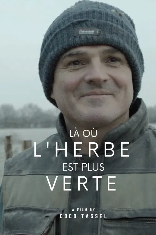 There Where the Grass is Greener poster