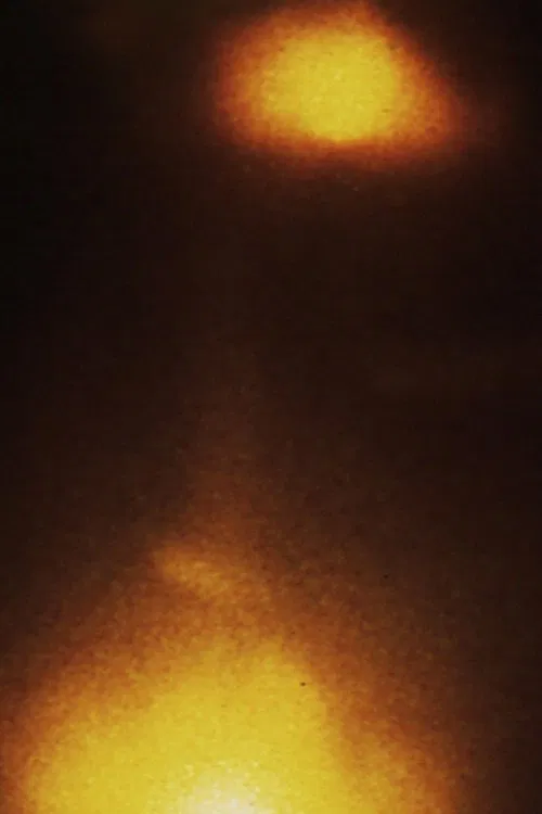 She Was A Visitor poster