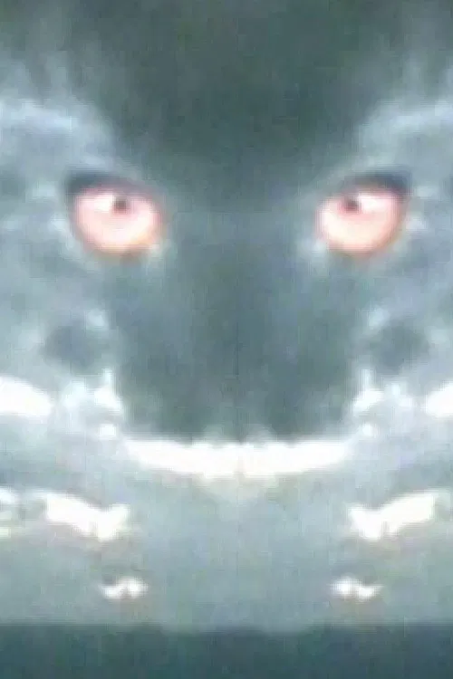 Haiku 2: Paper Dragon poster