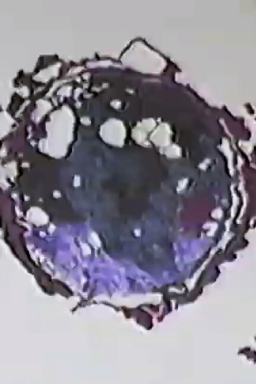 Ground level in New York & D.C poster