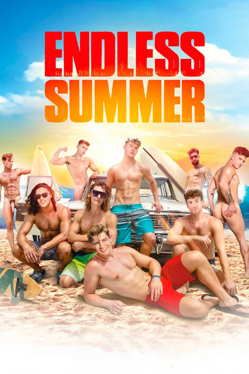 Falcon's Endless Summer poster