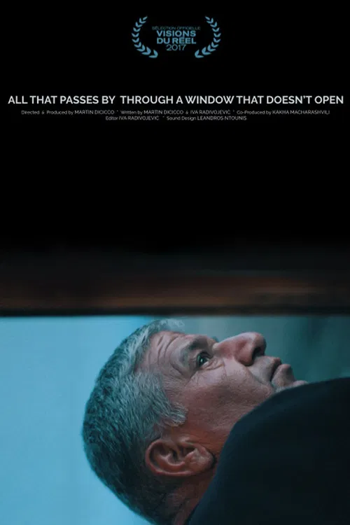 All That Passes by Through a Window That Doesn't Open poster