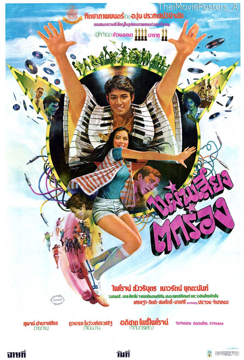 แผ่นเสียงตกร่อง poster