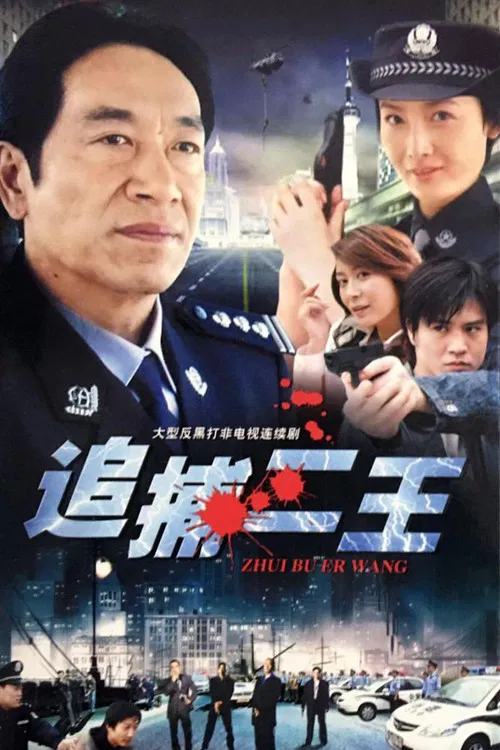 追捕二王 poster