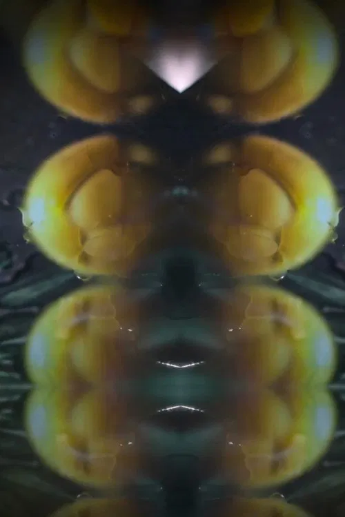 Howe Are You Island ? poster