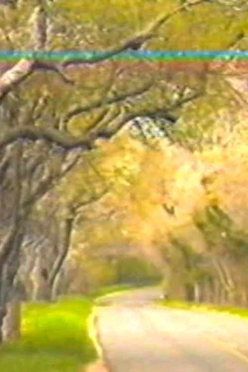 Brooding Angels poster