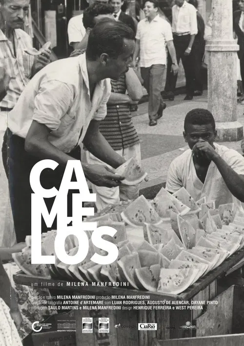 Camelôs poster
