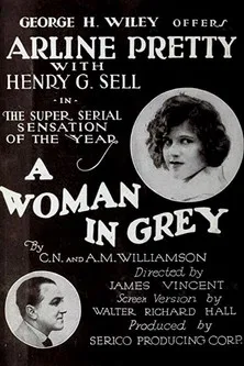 A Woman in Grey poster