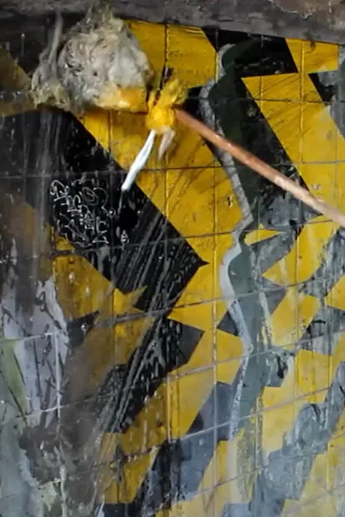 It Brings Light poster