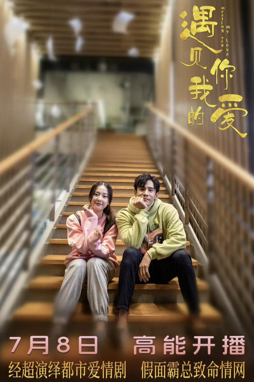 Meeting You My Love poster