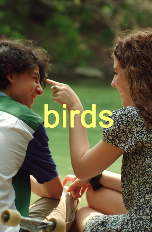 Birds poster