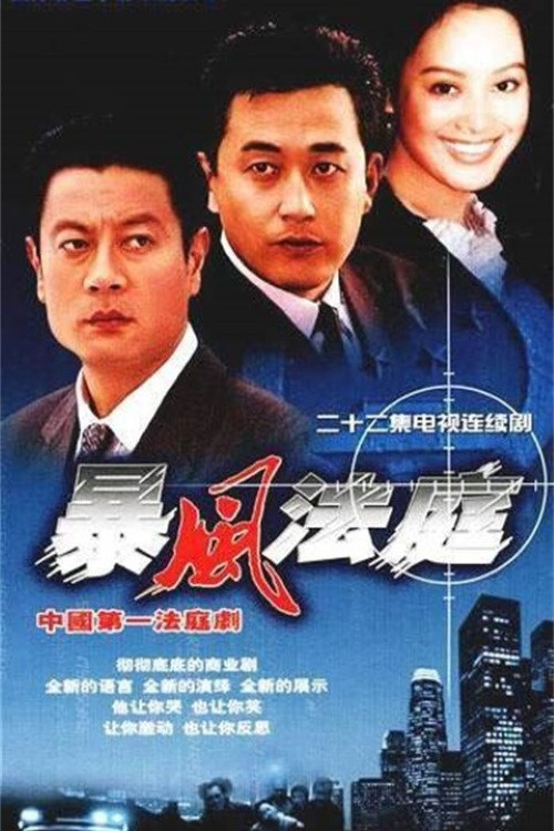 暴风法庭 poster