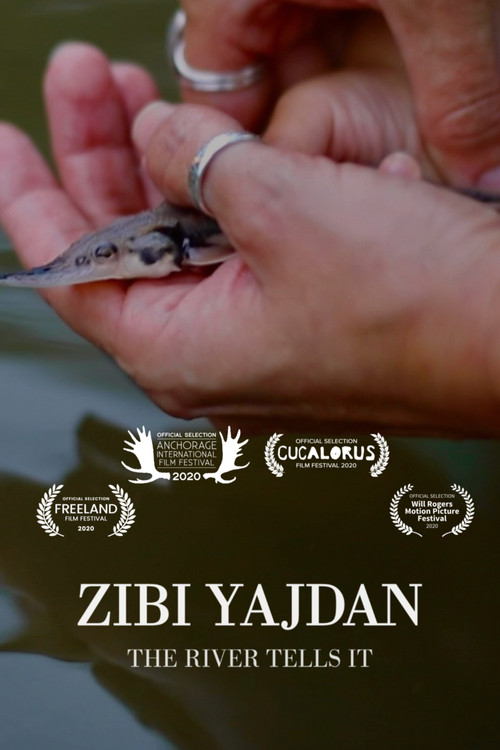 Zibi Yajdan poster
