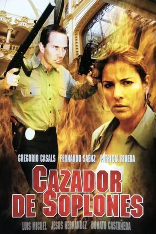 Cazador de soplones poster