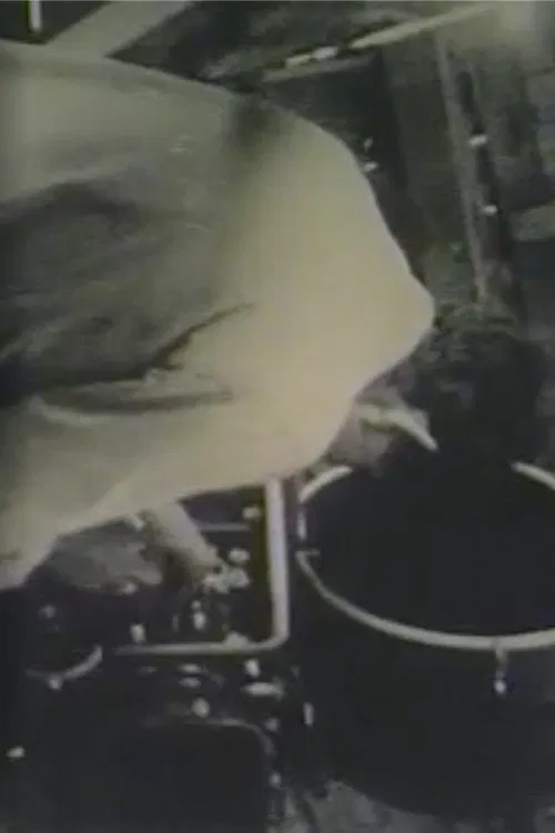 Robert Frank Films poster