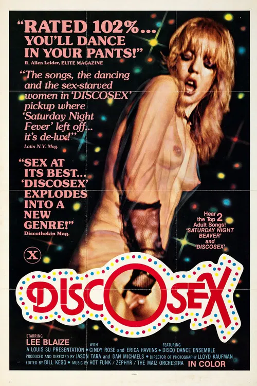 Disco Sex poster