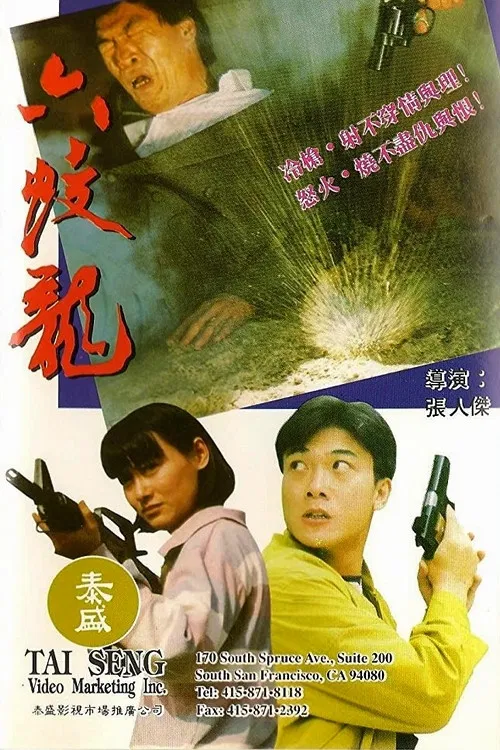 The Vengeance of Six Dragon poster