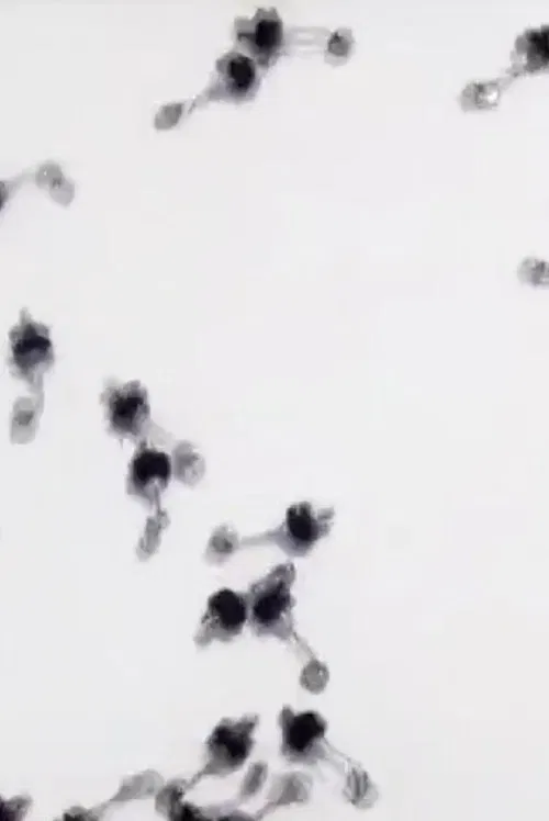 Untitled Sound Objects poster