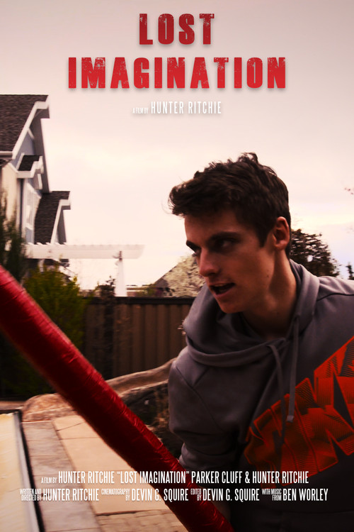 Lost Imagination poster