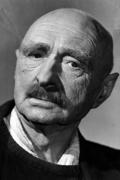 Roman Hubczenko profile