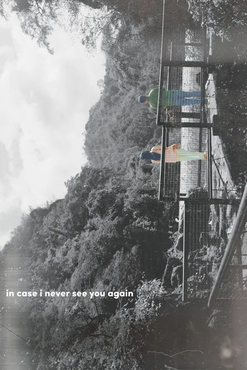 in case i never see you again poster