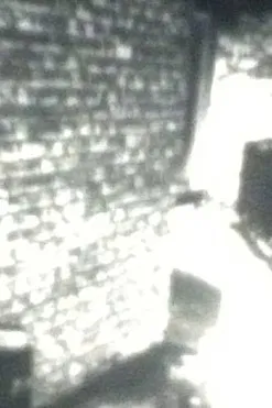 Stillness of the Garden poster