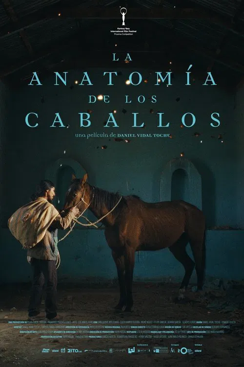 The Anatomy of the Horses poster