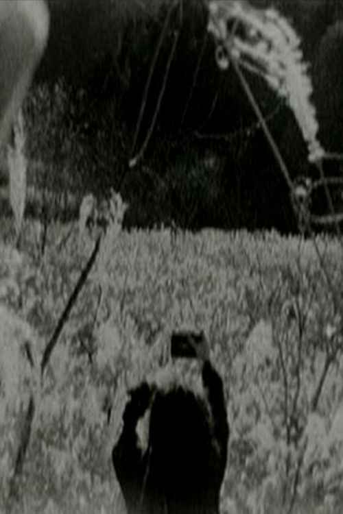 Chichibu Rest poster