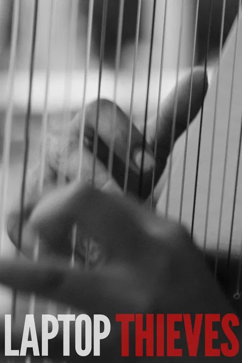 Laptop Thieves poster