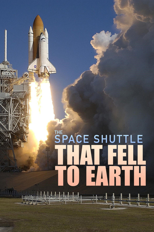 The Space Shuttle That Fell to Earth poster