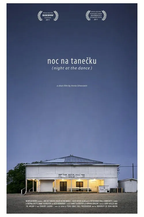 Night at the Dance poster