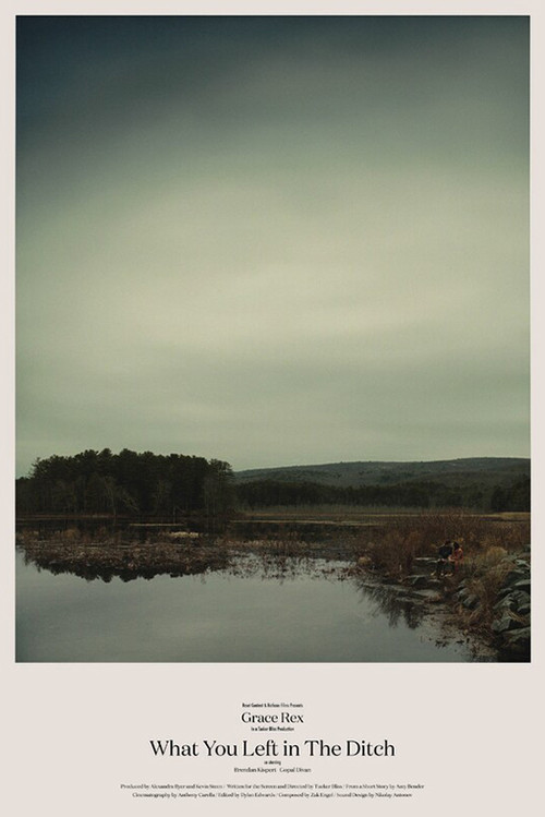 What You Left in the Ditch poster