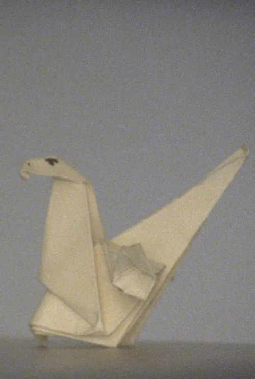 They wanted to be loved poster