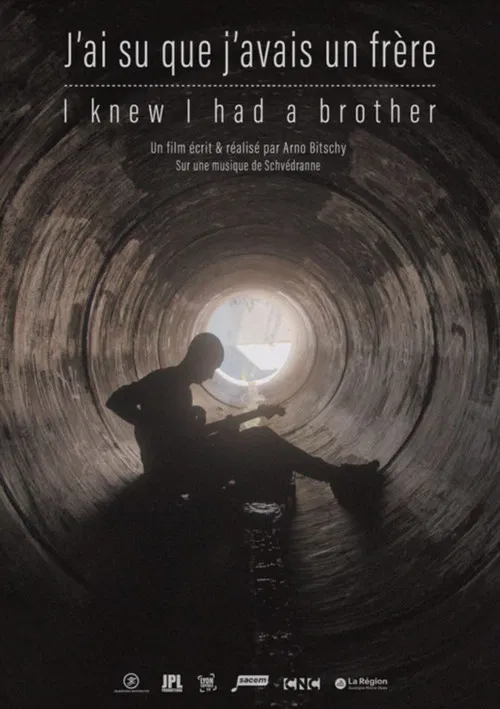 I Knew I had a Brother poster