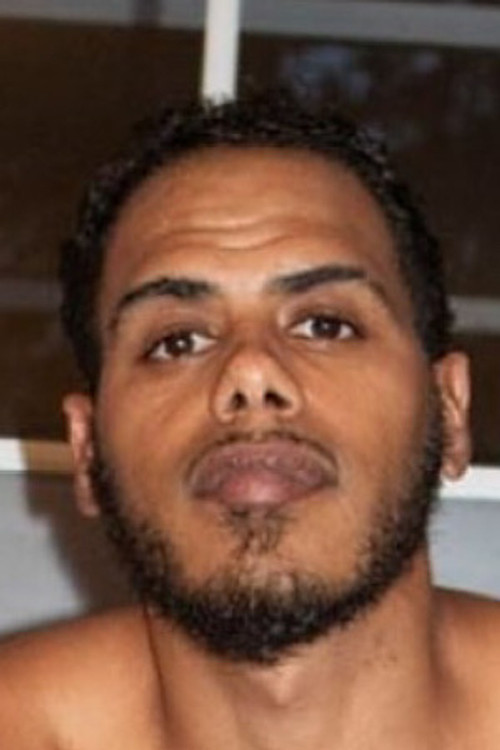 Damian Surge profile