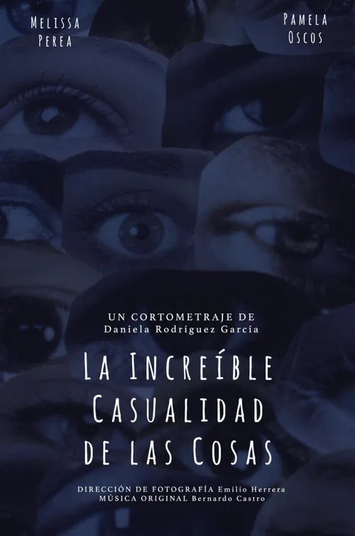 La Increíble Casualidad de las Cosas poster
