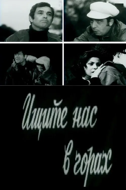 Find Us in the Mountains poster