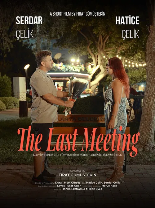 The Last Meeting poster